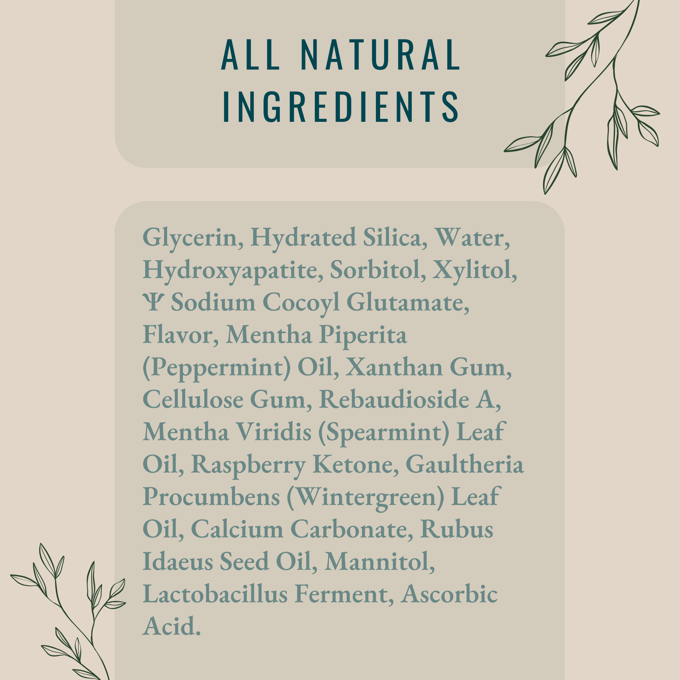 pH Toothpaste | Natural Vanilla Mint