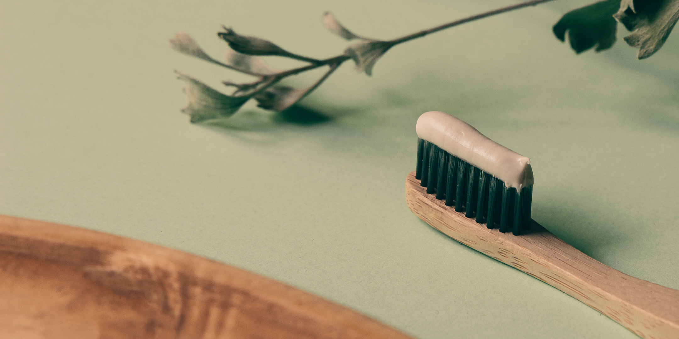 The Tooth Wizard | Toothpaste