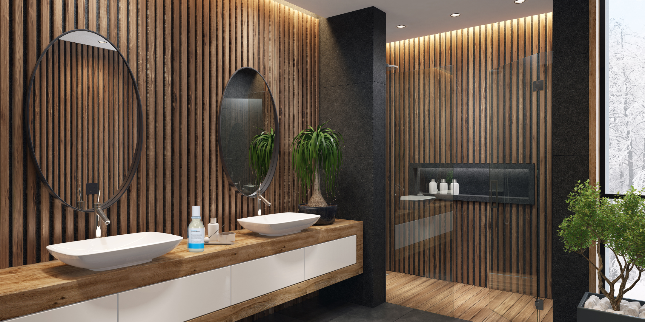 The Tooth Wizard | Shake well