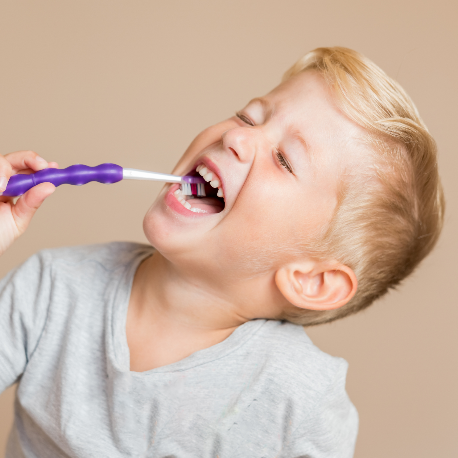 The Tooth Wizard | Revitalizing